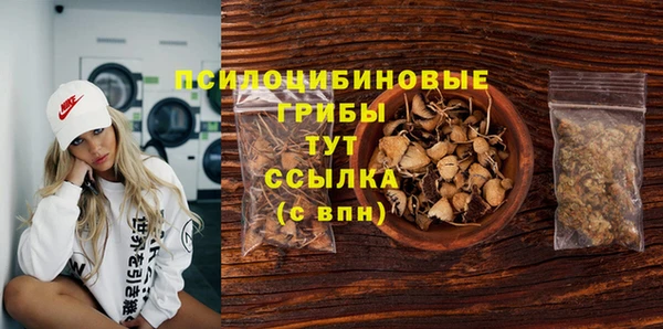 a pvp Алексин