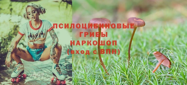 круглые Алзамай