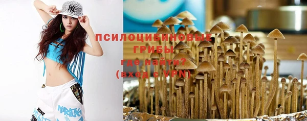круглые Алзамай