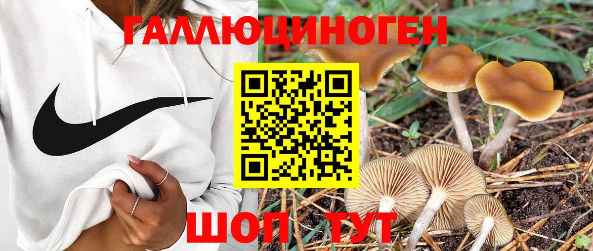 Галлюциногенные грибы мицелий  Вход с VPN  Брянск 