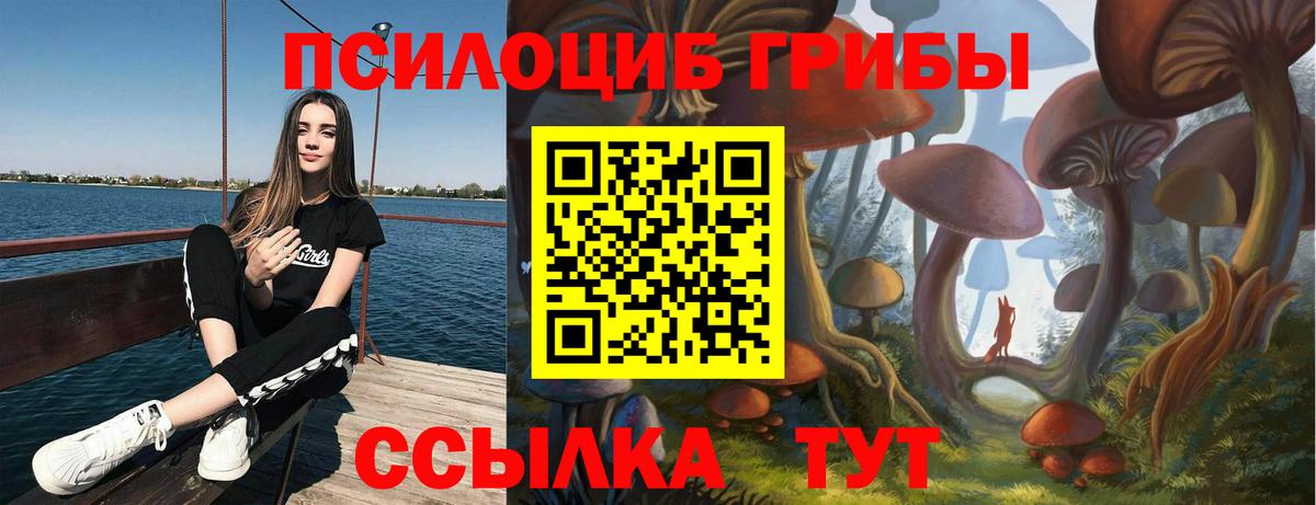 Псилоцибиновые грибы мицелий Брянск