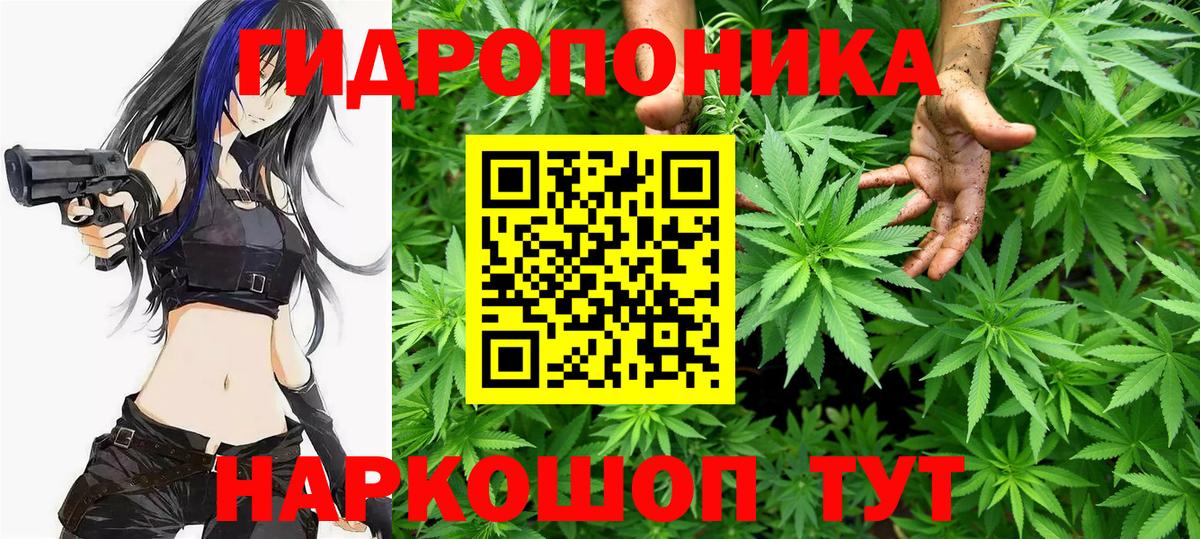 Конопля MAZAR Брянск